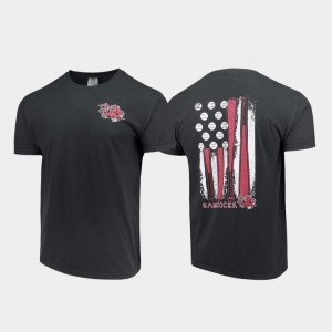 Men's South Carolina Gamecocks Baseball Flag Black Comfort Colors T-Shirt 620479-491
